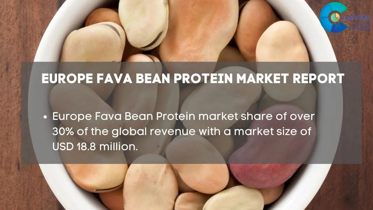Europe Fava Bean Protein Market Report