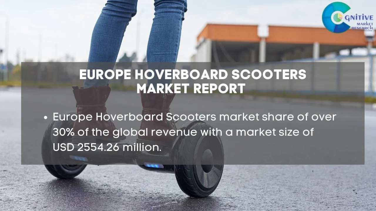 Europe Hoverboard Scooters Market Report