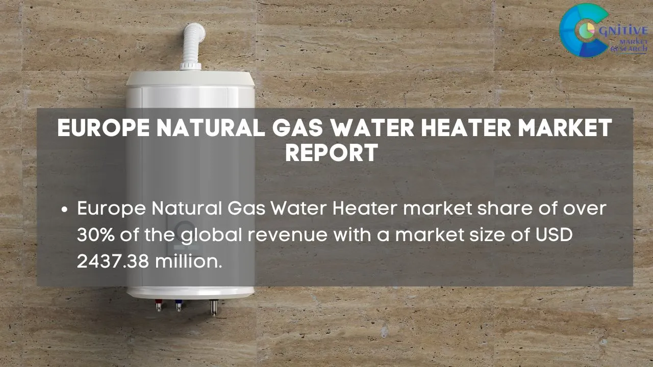 Europe Natural Gas Water Heater Market Report