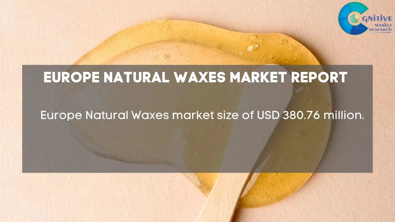 Europe Natural Waxes Market Report