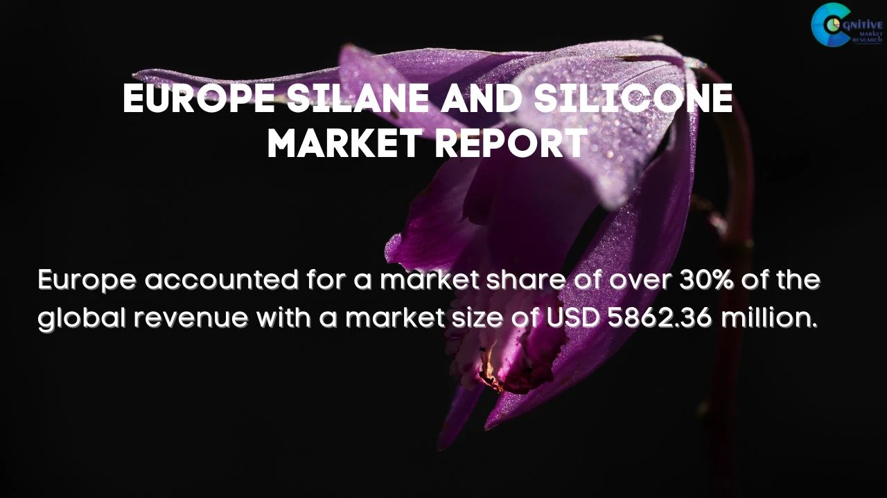 Europe Silane and Silicone Market Report