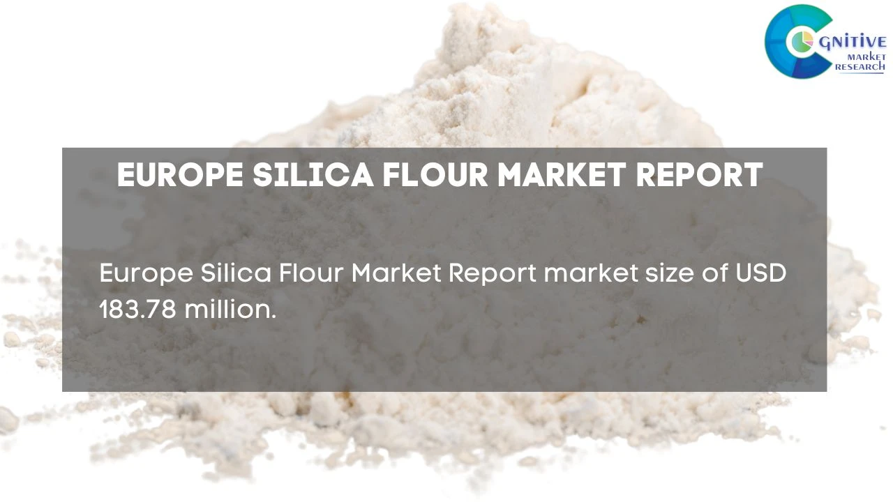 Europe Silica Flour Market Report