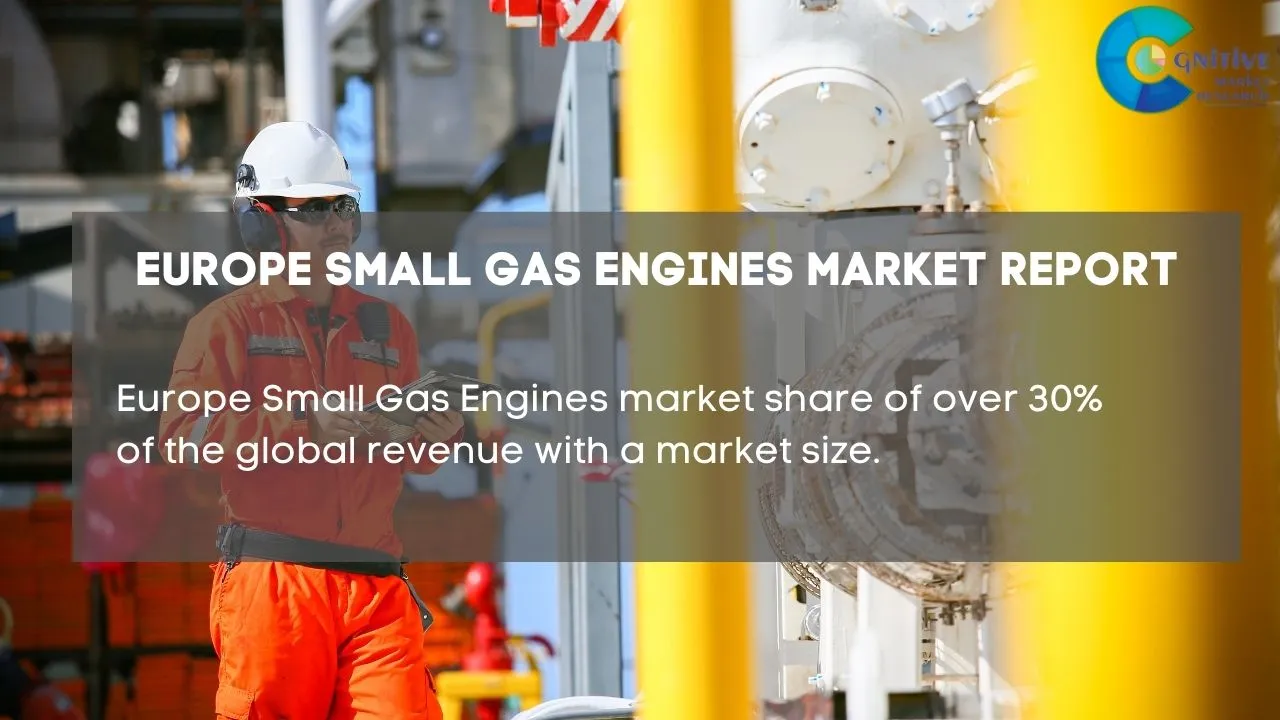 Europe Small Gas Engines Market Report