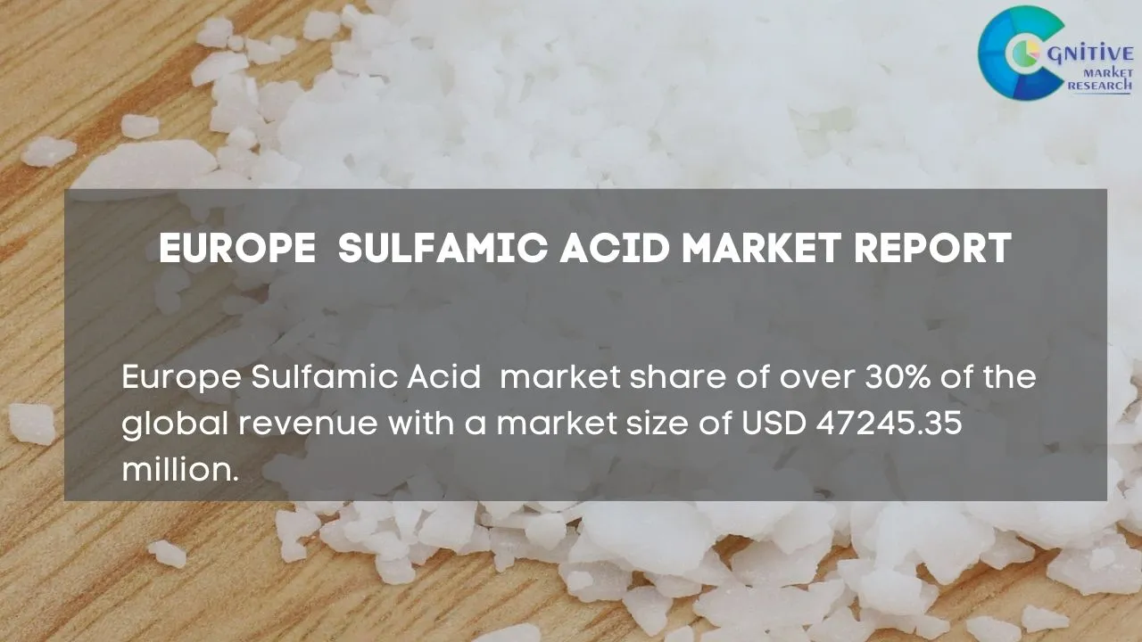 Europe Sulfamic Acid Market Report