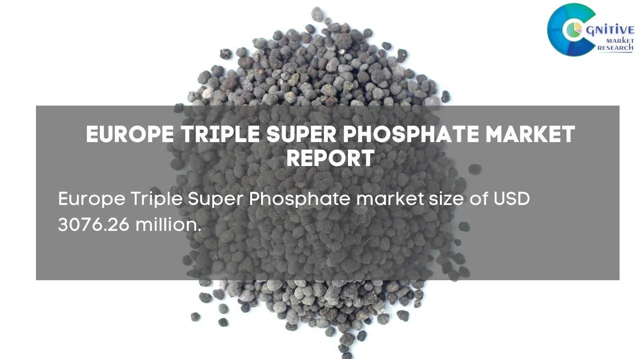 Europe Triple Super Phosphate Market Report