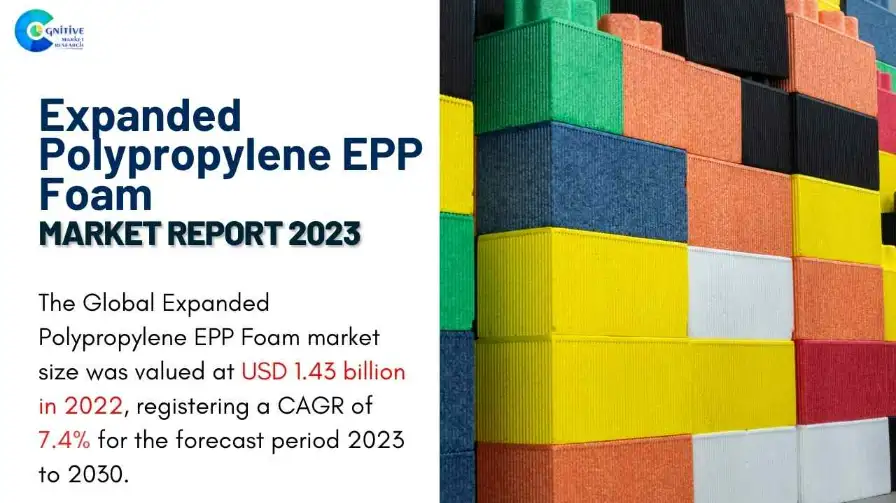Expanded Polypropylene EPP Foam Market Report