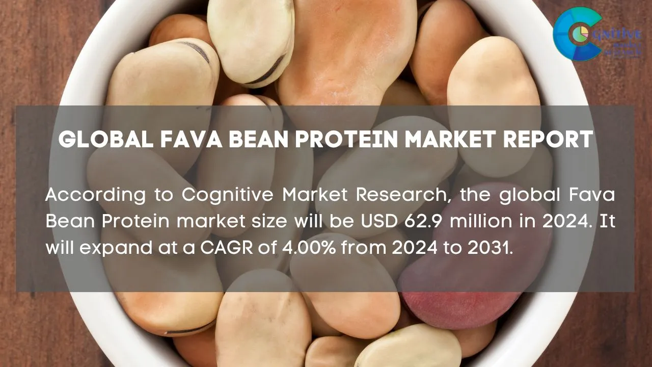 Fava Bean Protein Market Report