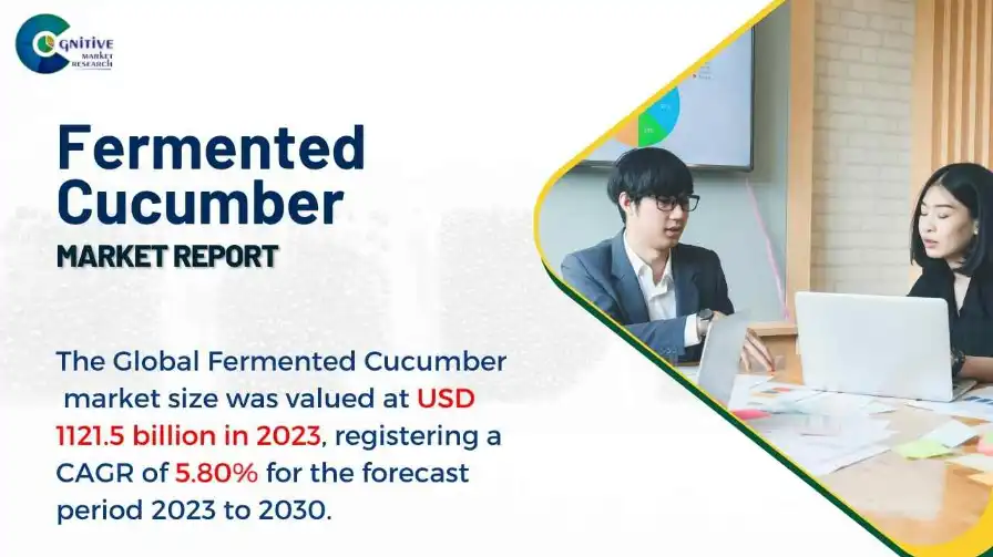 Fermented Cucumber Market Report