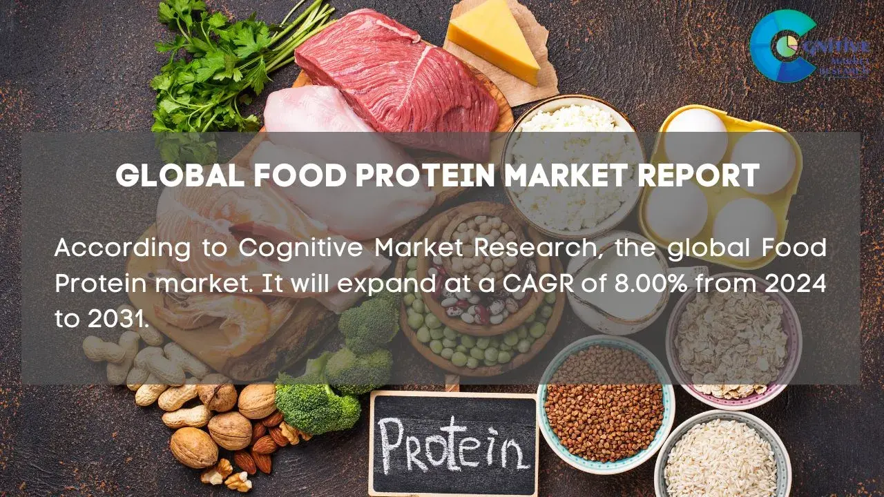 Food Protein Market Report