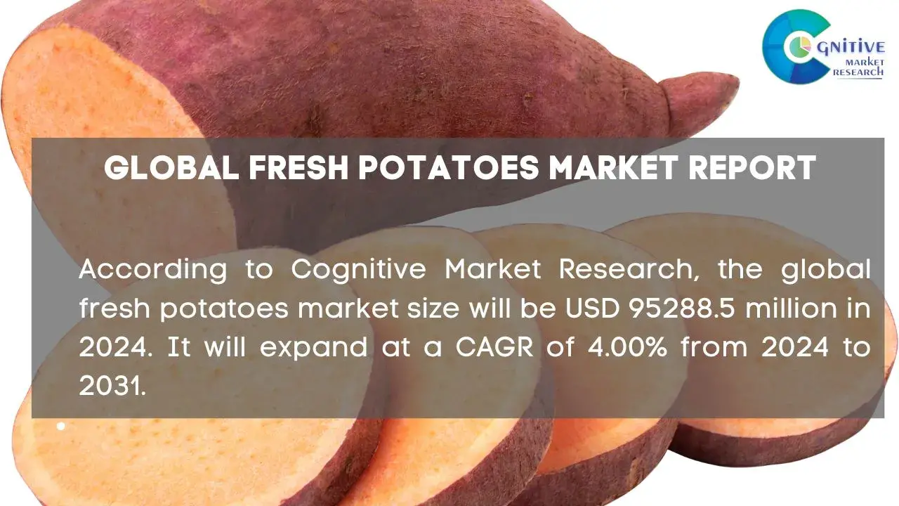 Fresh Potatoes Market Report