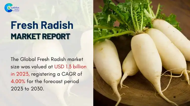Fresh Radish Market Report