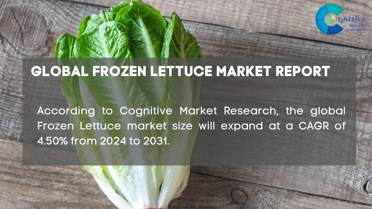 Frozen Lettuce Market Report
