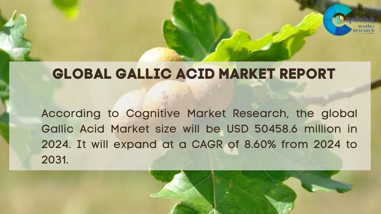 Gallic Acid Market Report
