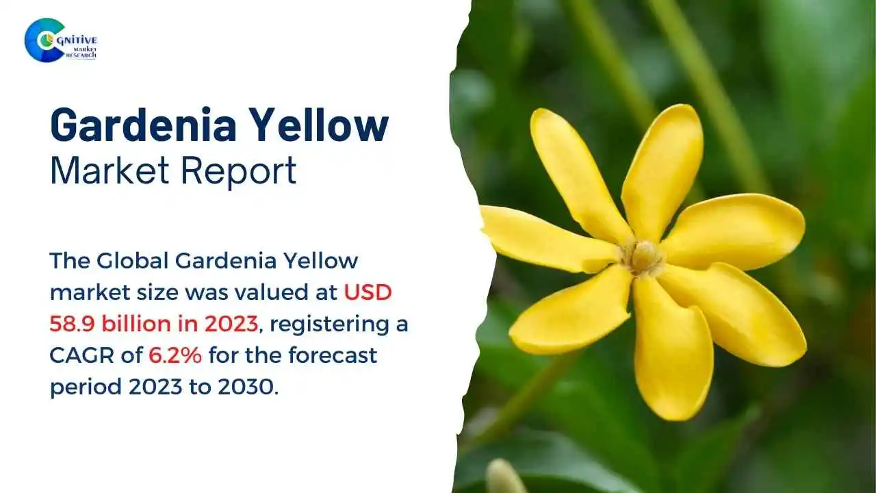 Gardenia Yellow Market Report
