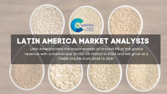 South America Grain Based Food Market Report