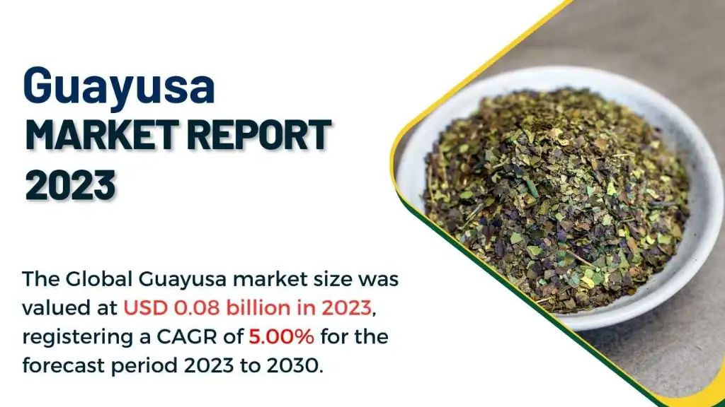 Guayusa Market Report