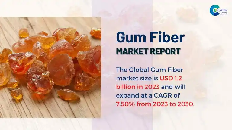 Gum Fiber Market Report