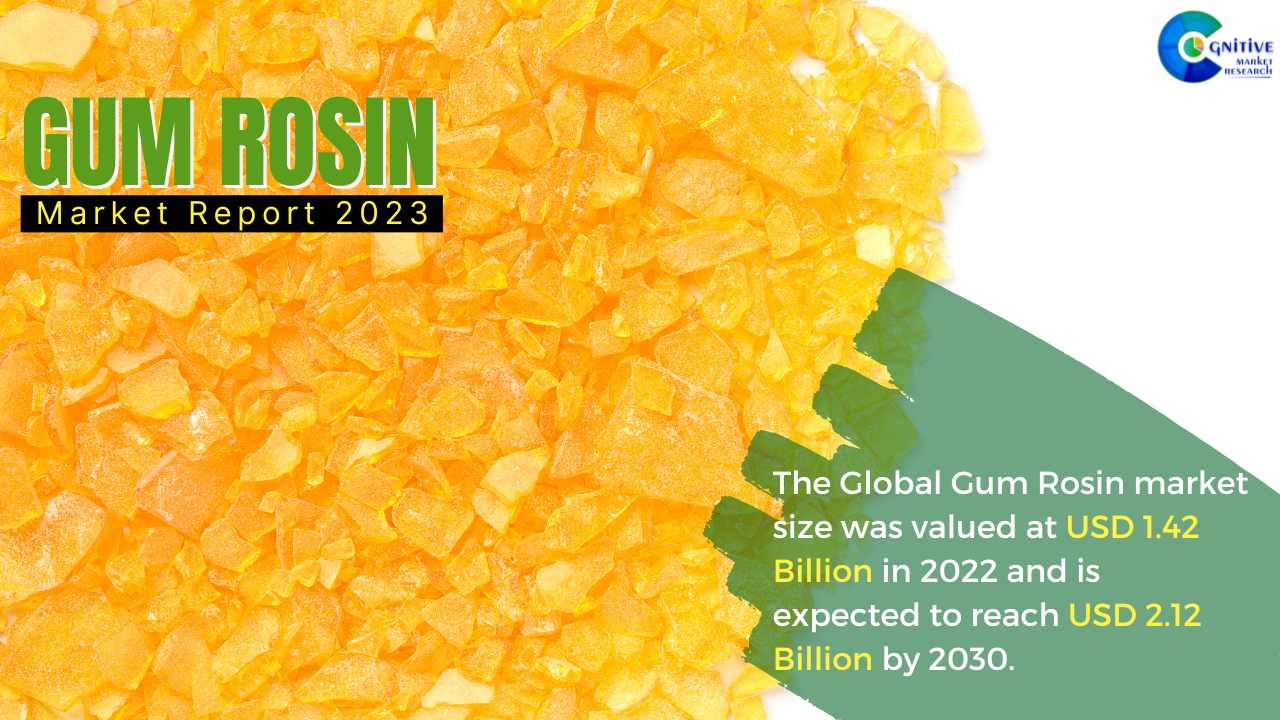 Gum Rosin Market Report