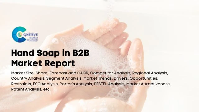 Hand Soap in B2B Market Report