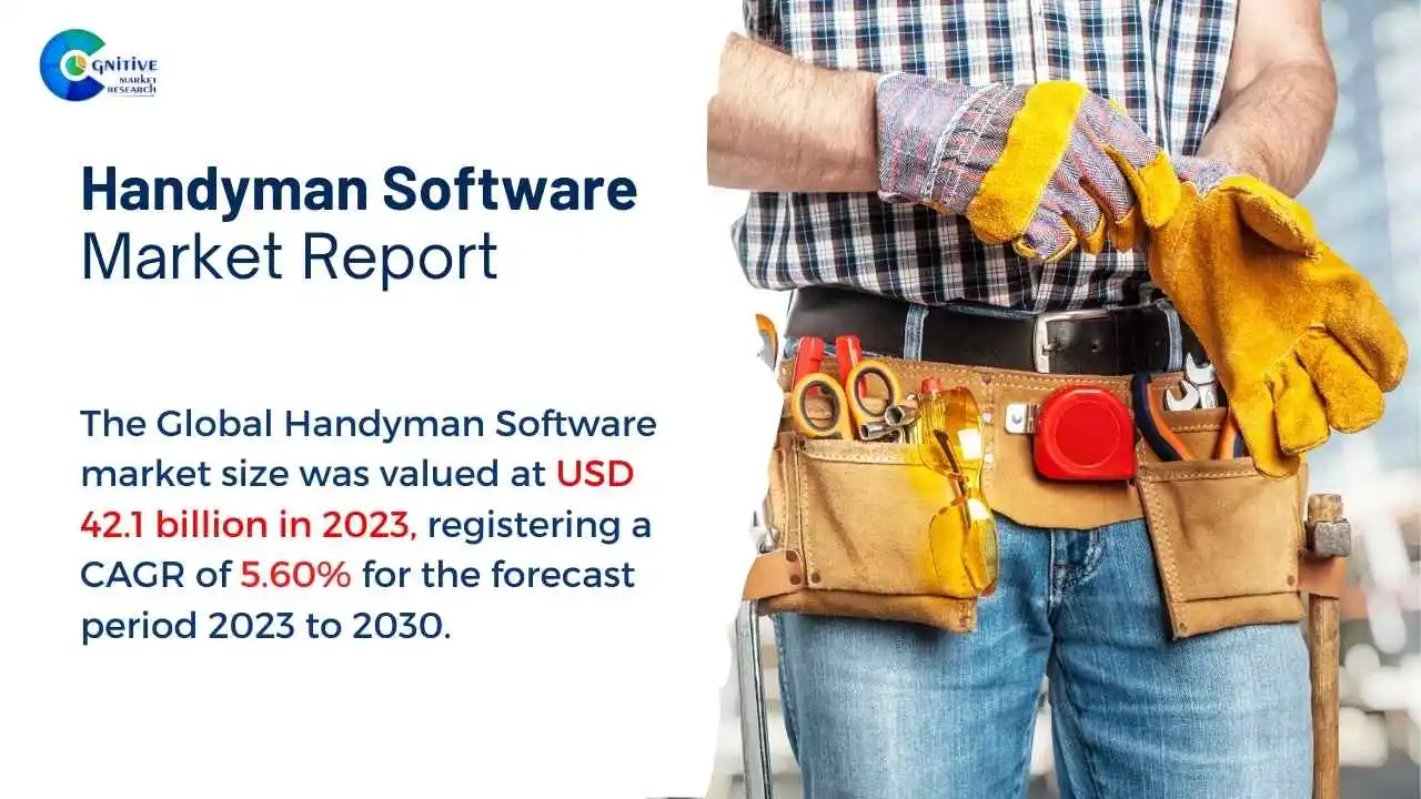 Handyman Software Market Report
