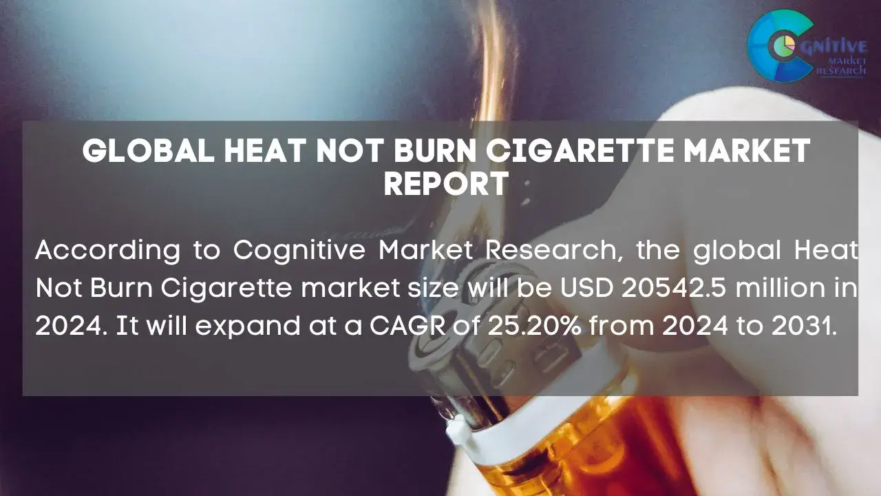 Heat Not Burn Cigarette Market Report