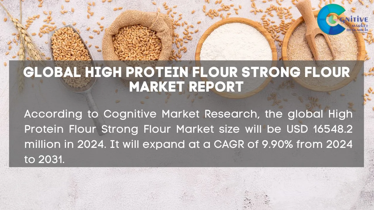 High Protein Flour Strong Flour Market Report
