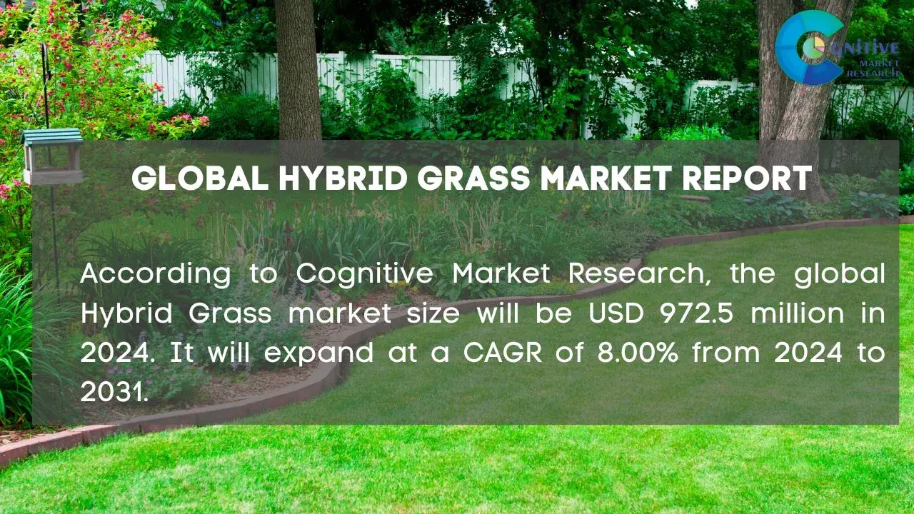 Hybrid Grass Market Report