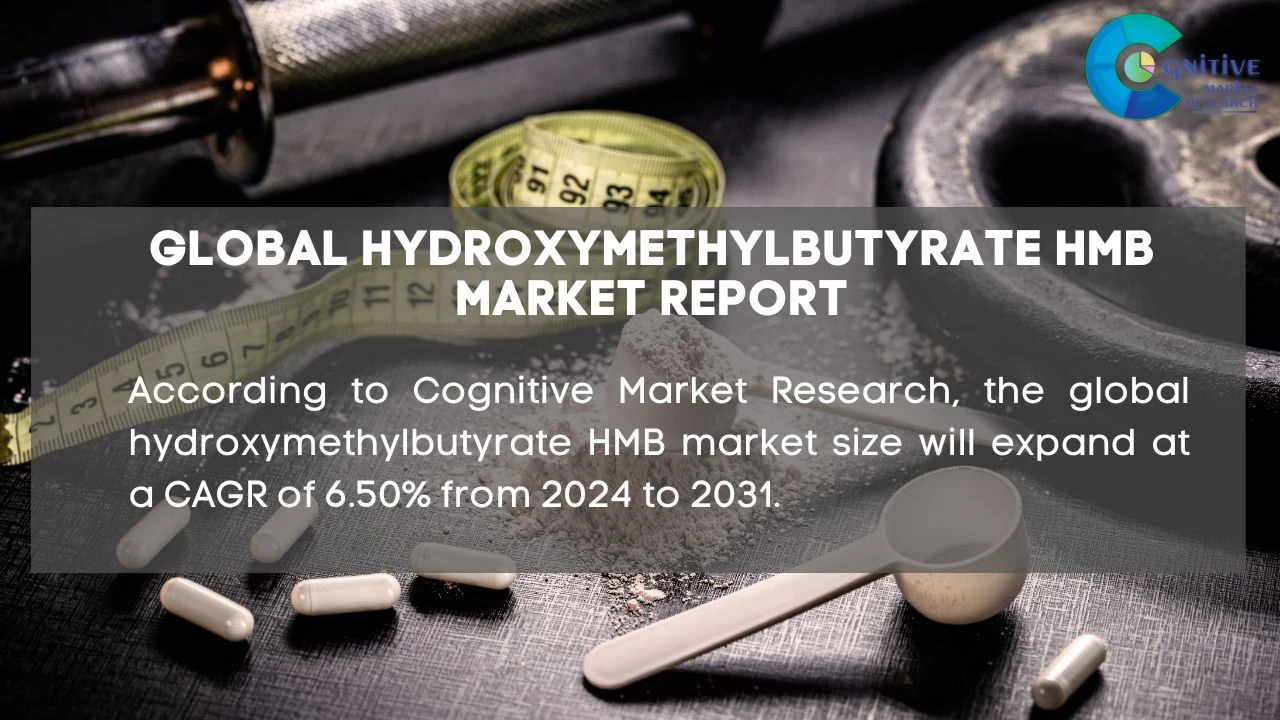 Hydroxymethylbutyrate  HMB Market Report