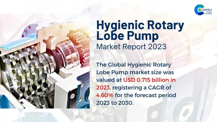 Hygienic Rotary Lobe Pump Market Report