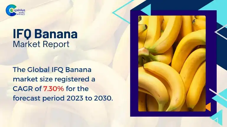 IFQ Banana Market Report