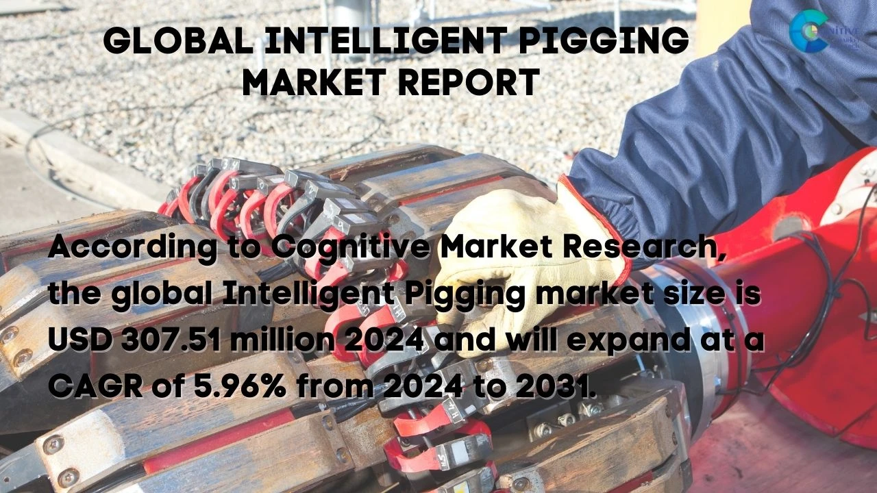 Intelligent Pigging Market Report