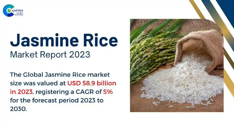 Jasmine Rice Market Report