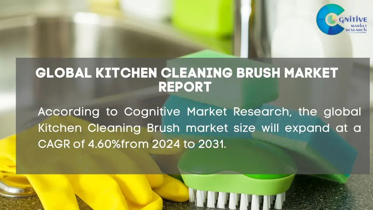 Kitchen Cleaning Brush Market Report