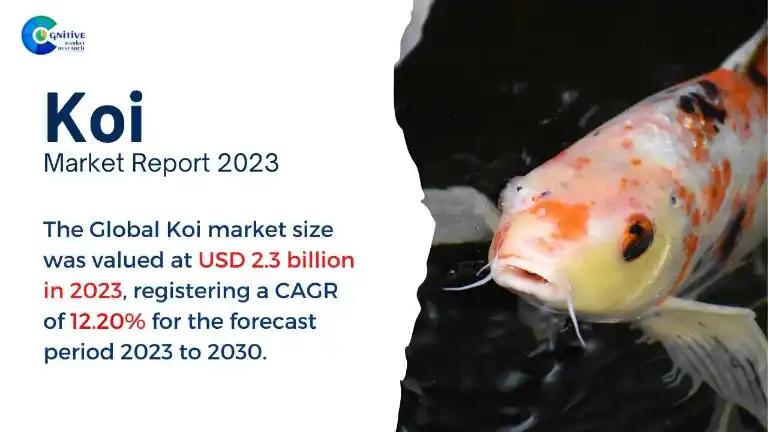 Koi Market Report