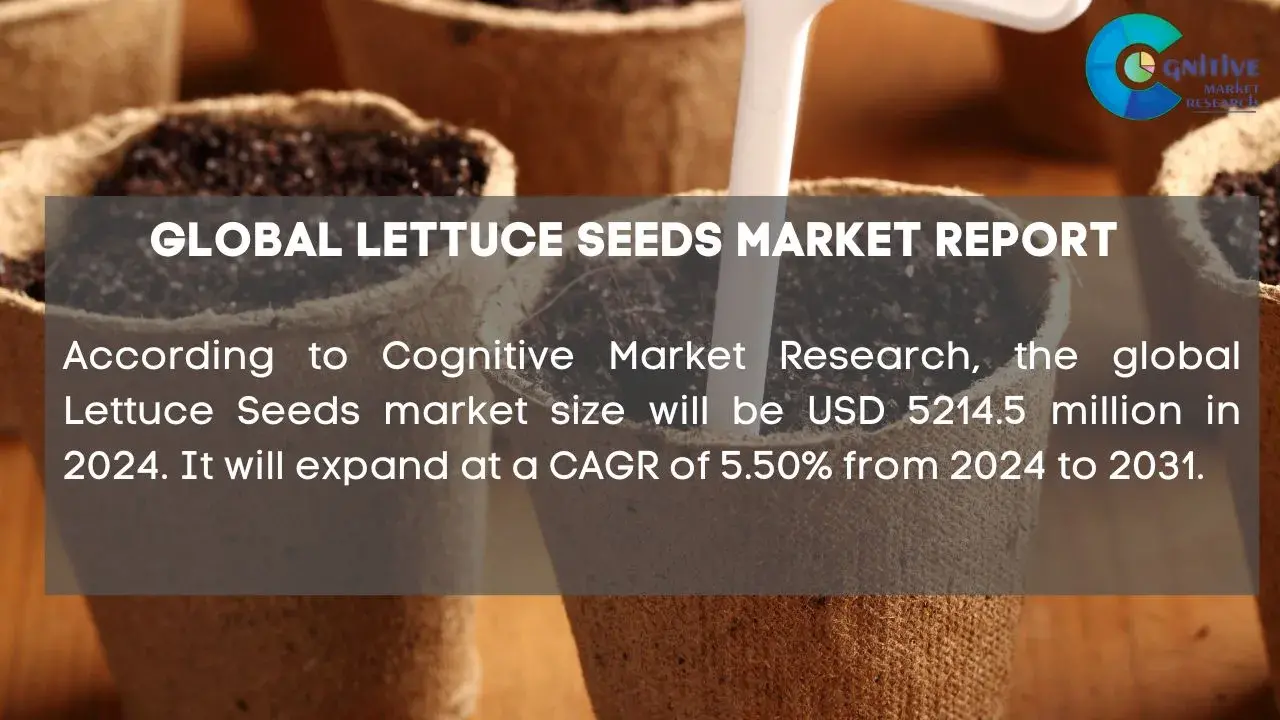 Lettuce Seeds Market Report