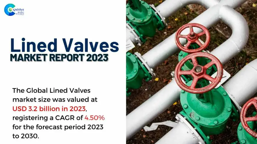 Lined Valves Market Report