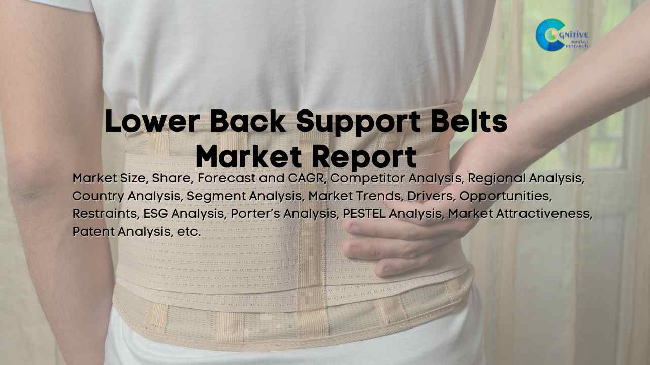 Lower Back Support Belts Market Report