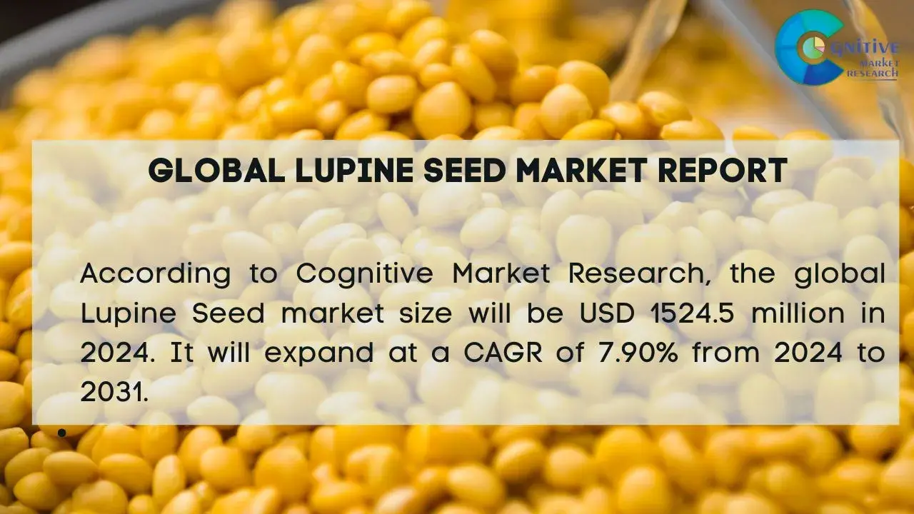 Lupine Seed Market Report
