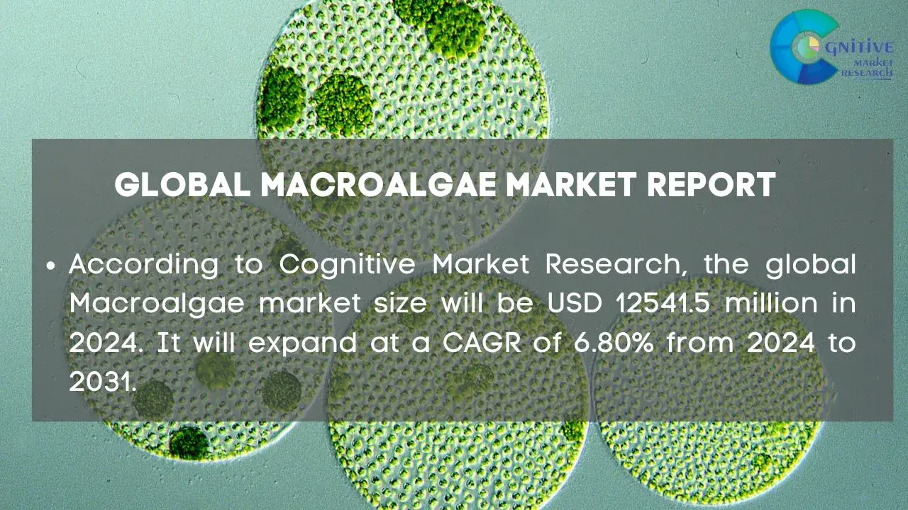 Macroalgae Market Report