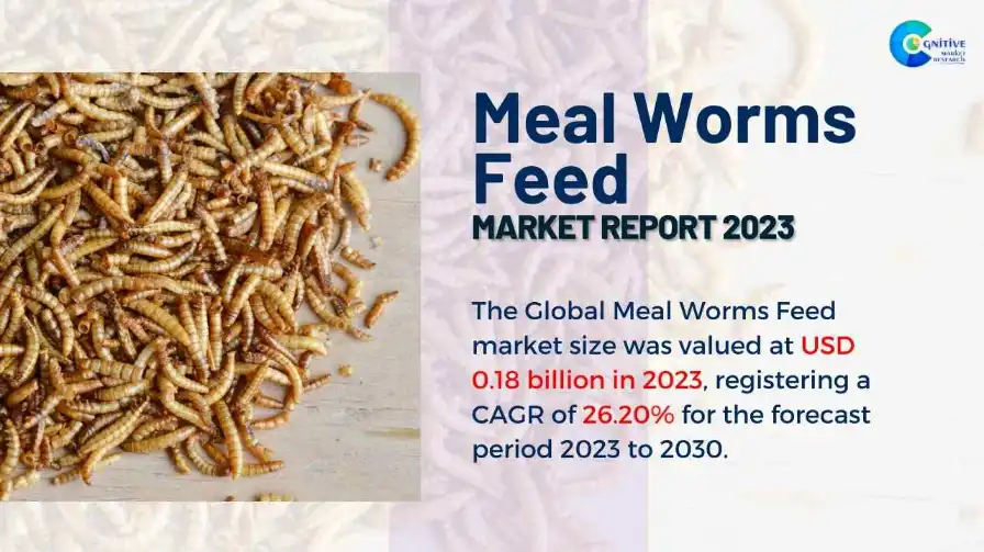 Meal Worms Feed Market Report