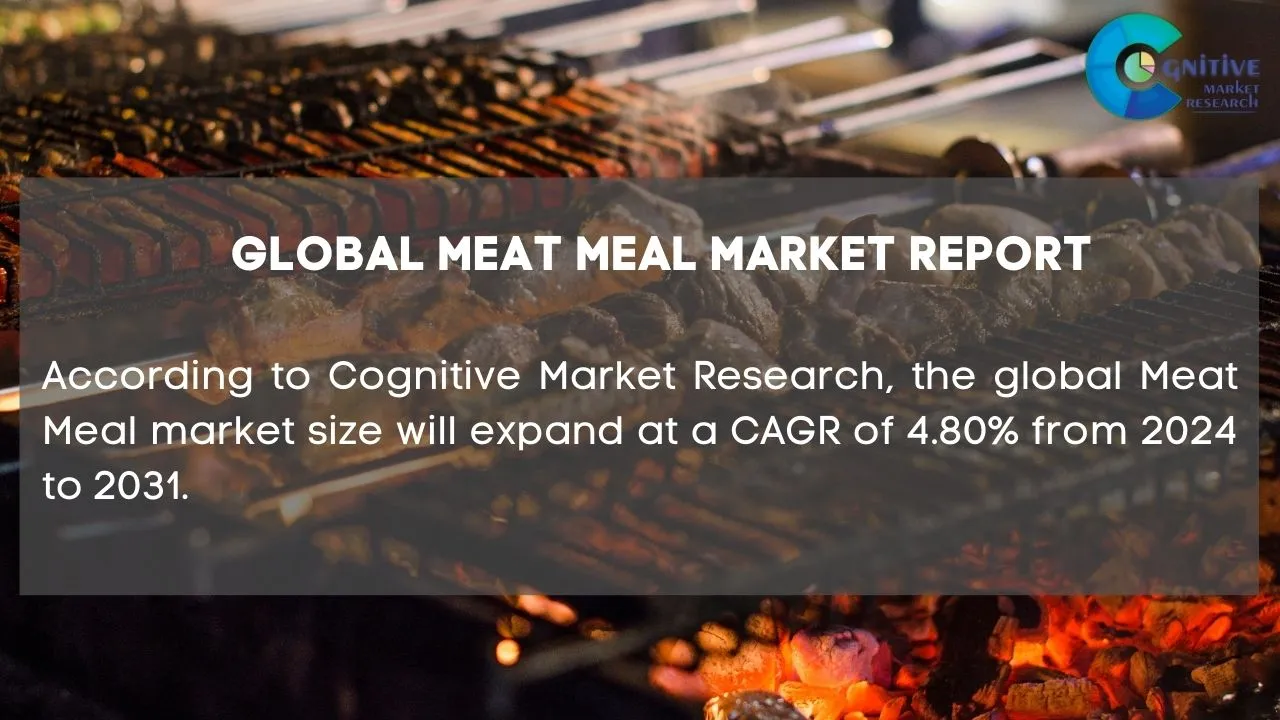 Meat Meal Market Report