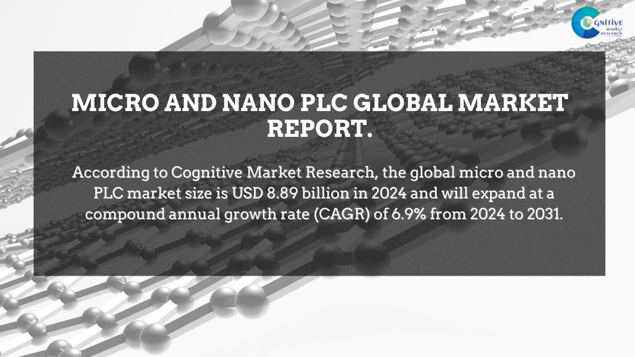 Micro and Nano PLC Market Report