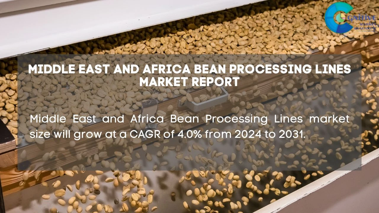 Middle East Bean Processing Lines Market Report