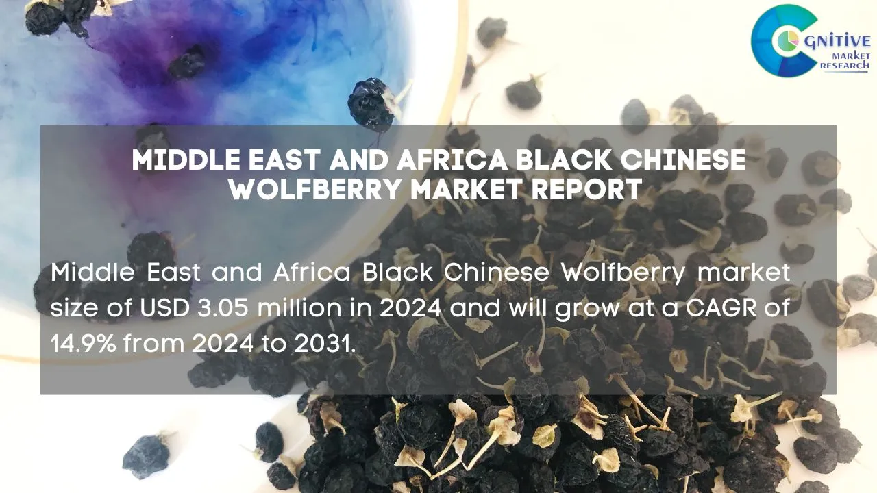 Middle East Black Chinese Wolfberry Market Report