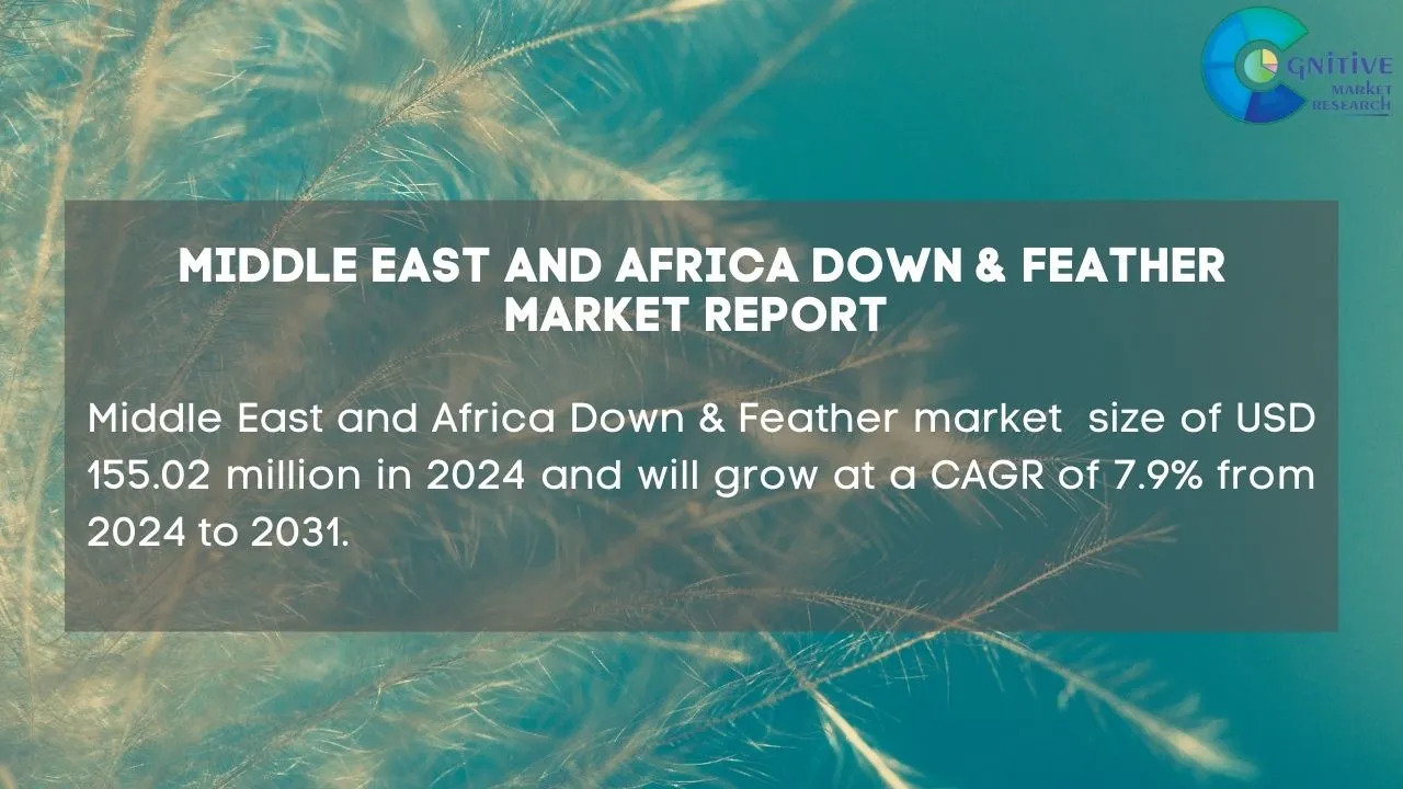 Middle East Down & Feather Market Report