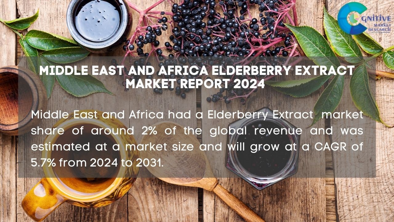 Middle East Elderberry Extract Market Report