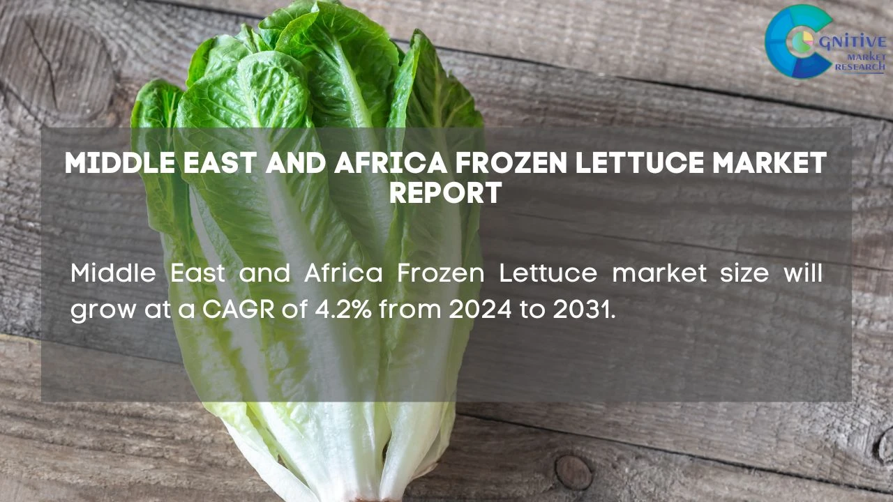 Middle East Frozen Lettuce Market Report