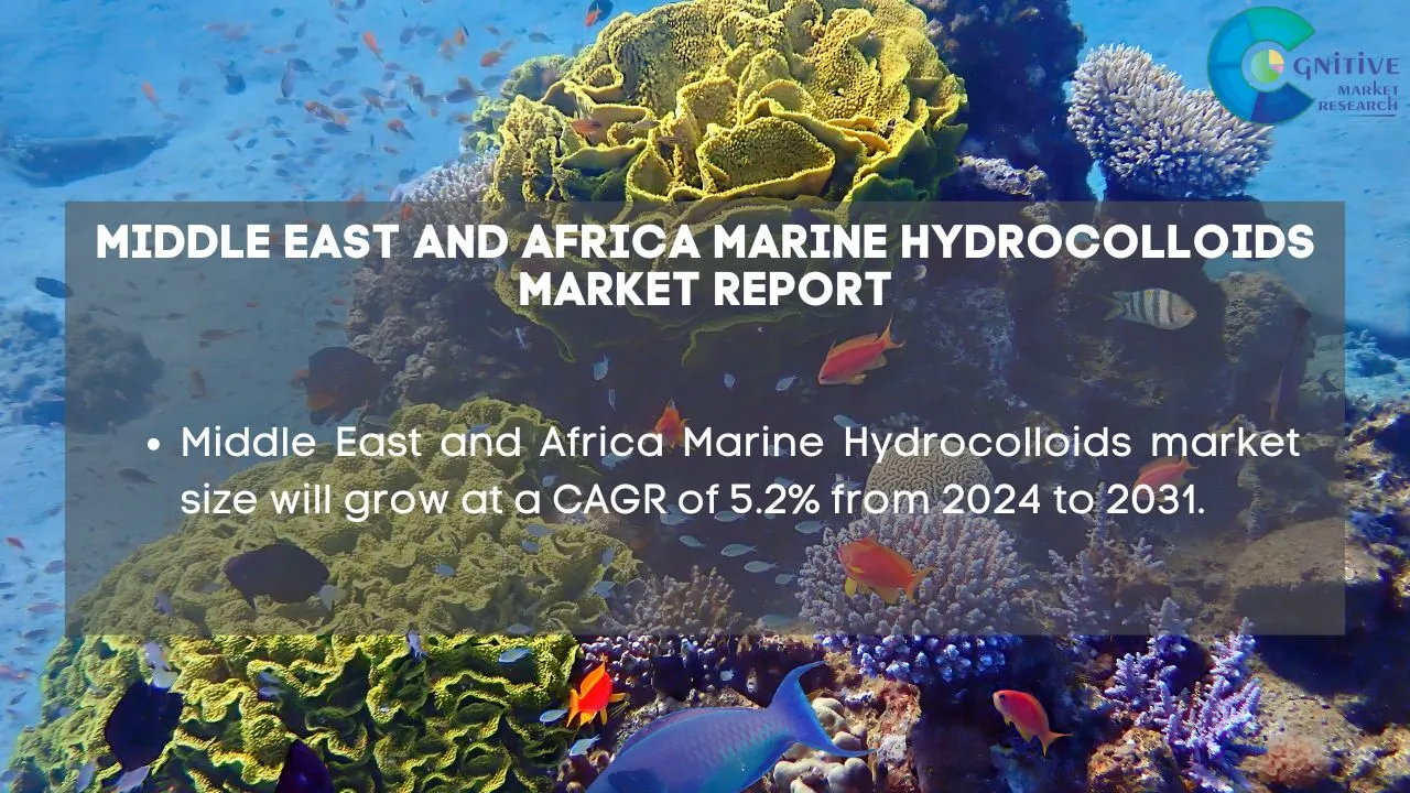 Middle East Marine Hydrocolloids Market Report