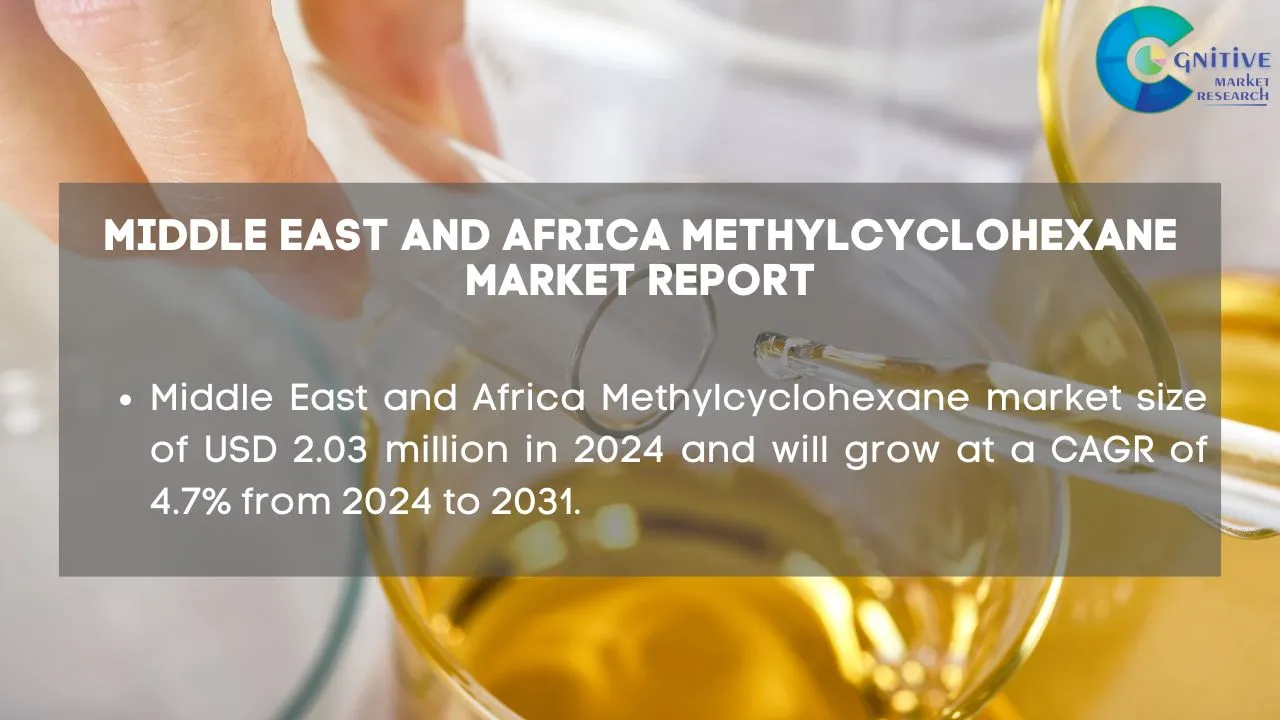 Middle East Methylcyclohexane Market Report