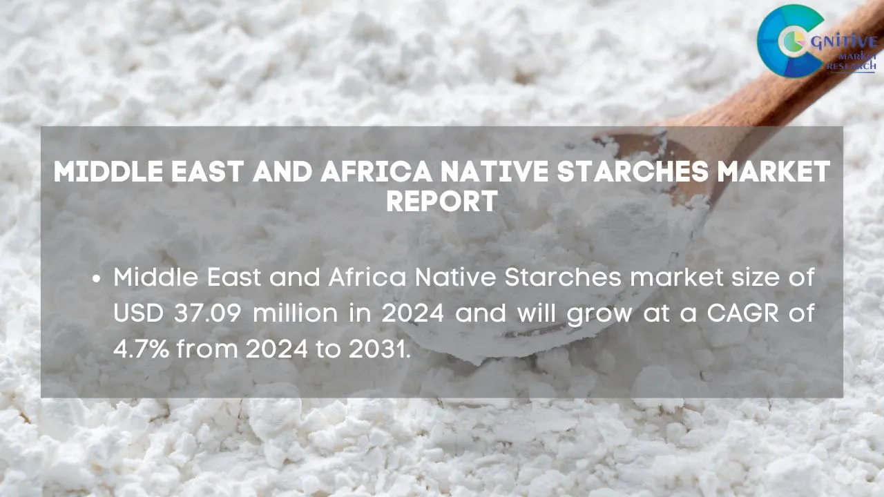 Middle East Native Starches Market Report